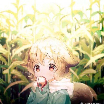 申请国赔被叫停女子回应官方通报